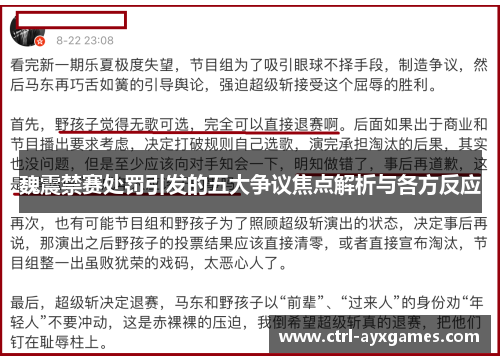 魏震禁赛处罚引发的五大争议焦点解析与各方反应
