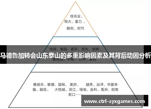马德鲁加转会山东泰山的多重影响因素及其背后动因分析