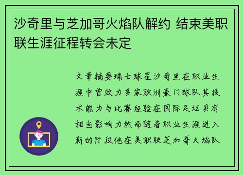 沙奇里与芝加哥火焰队解约 结束美职联生涯征程转会未定